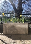 Quarterlite Balcony Planter