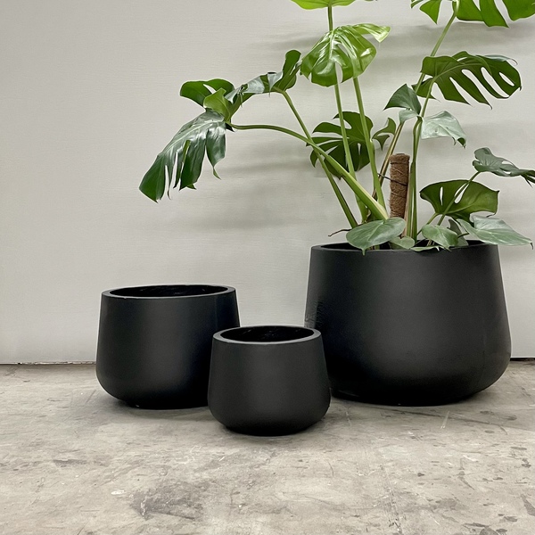 Short Rounds: QuarterLite