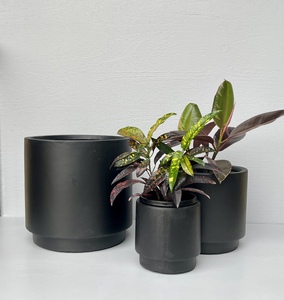 Short Stack Cylinder Set / 3 - QuarterLite