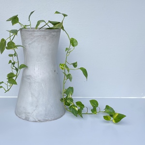 Duopoly Planter