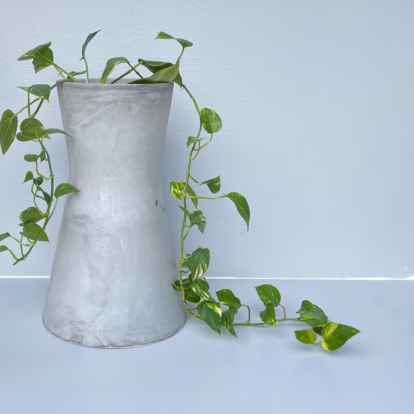 Duopoly Planter