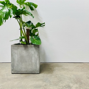 Cube Planter - Size 1 ONLY