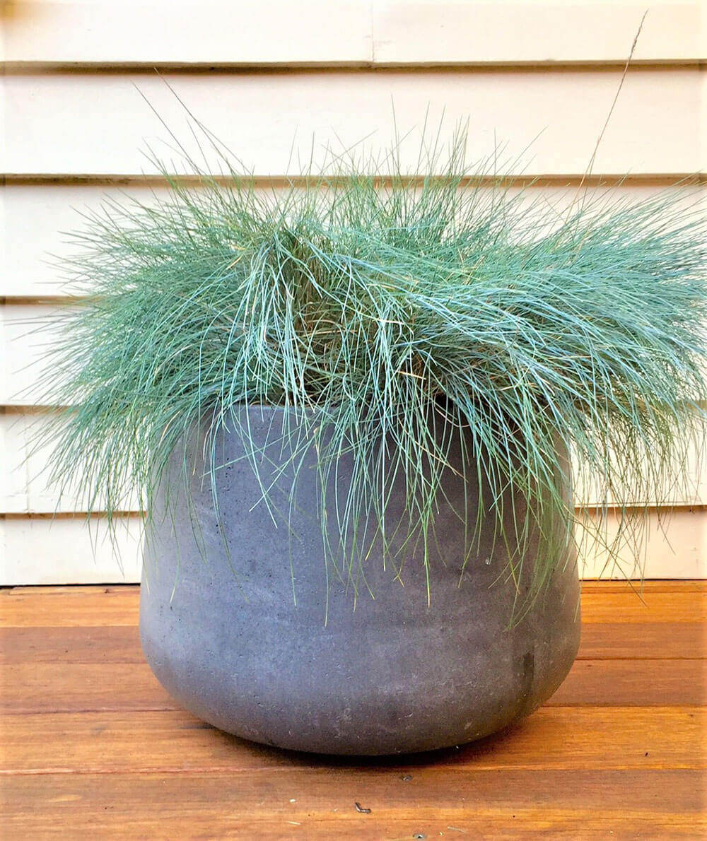 Short Round Planter